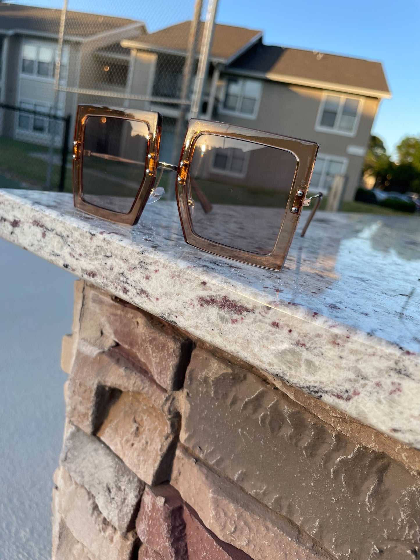 "Retro Rich" Sunnies